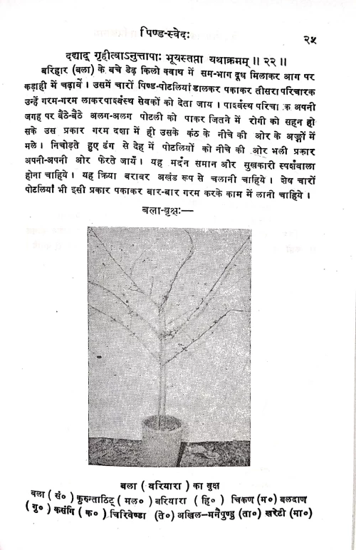 Keraliya Panchakarma Chikitsa Vigyanam